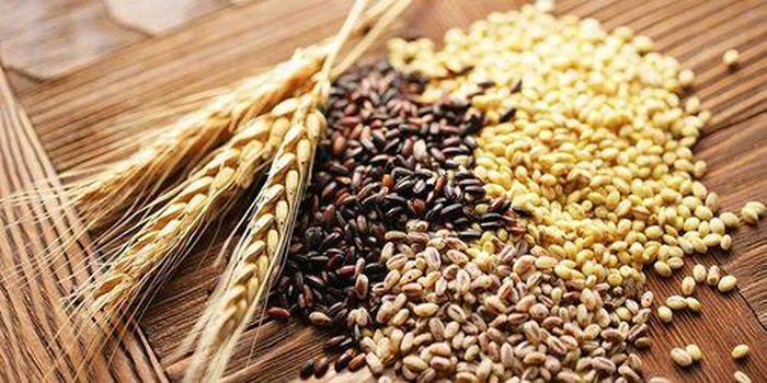 Ngũ cốc nguyên hạt giúp hạn chế tăng đường huyết sau ăn.