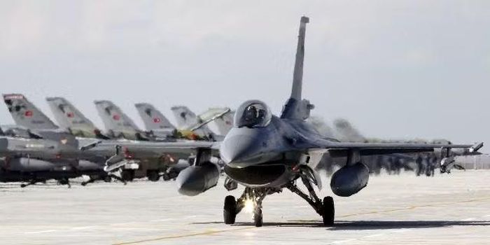 Tờ báo dẫn lời một đại diện giấu tên của NATO cho biết: "Thổ Nhĩ Kỳ sở hữu tiềm năng kinh doanh mạnh mẽ, chuyên môn kỹ thuật cao và năng lực công nghiệp mà chỉ Đức mới có thể sánh kịp ở châu Âu."