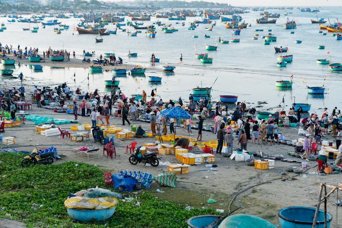  Khu vực bờ kè làng chài Mũi Né buôn bán hải sản tấp nập. 