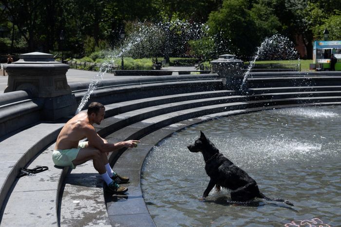 Công viên Washington Square ở TP New York ngày 2/7 giữa thời tiết nắng nóng. Ảnh: Reuters. 