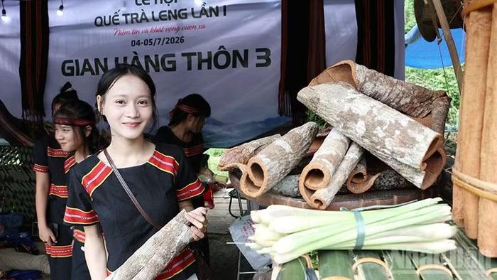 Sản phẩm vỏ quế khô Trà Leng được trưng bày tại lễ hội.