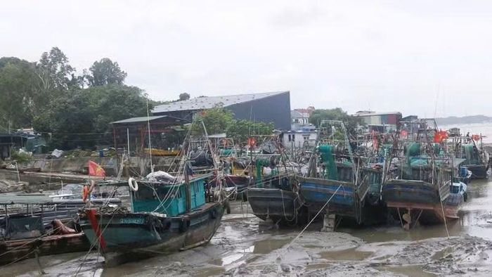 Ngay trong chiều ngày 3/7, đã có 268 tàu cá, phương tiện thủy của các địa phương khác đang neo đậu tại bến Mũi Ngọc và cảng Núi Đỏ.
