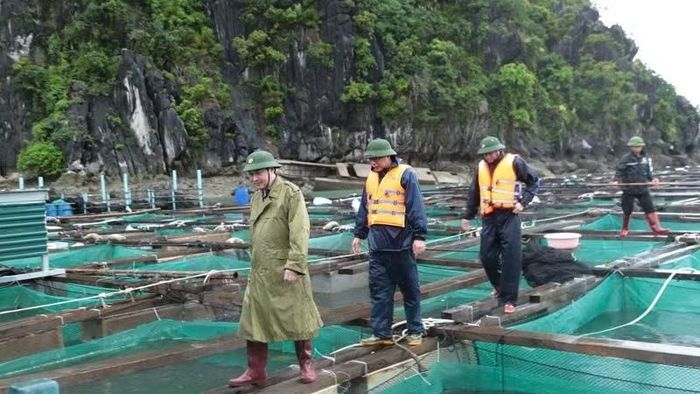 Lãnh đạo Đặc khu Vân Đồn kiểm tra công tác phòng, chống bão số 1 tại các bè nuôi trồng thủy sản trên địa bàn.