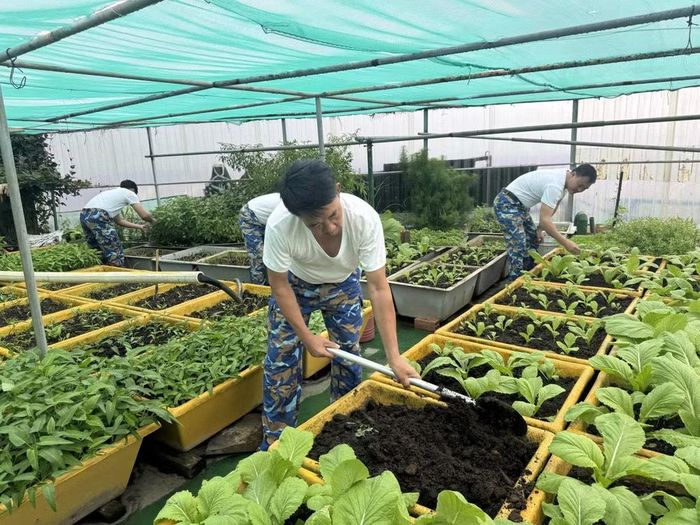 Bộ đội nhà giàn tăng gia sản xuất để xanh hóa nhà giàn.