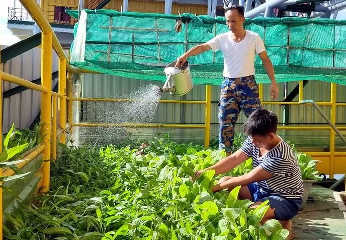 Tăng gia sản xuất trên nhà giàn để có nguồn rau xanh. Trong nhiều năm qua, rau xanh đã cơ bản đáp ứng nhu cầu của bộ đội nhà giàn.