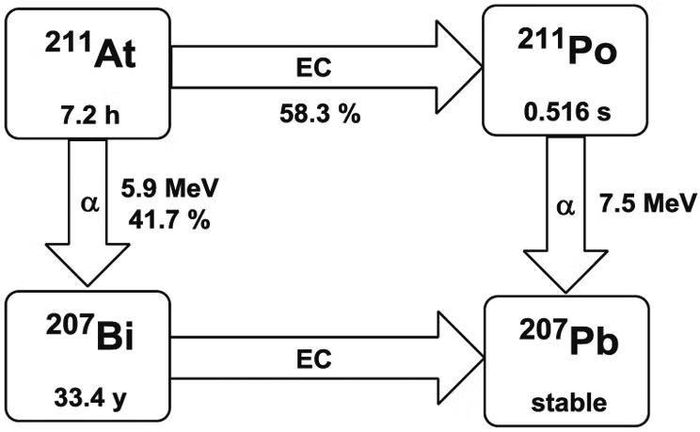 Ảnh: pmc.ncbi.nlm.nih