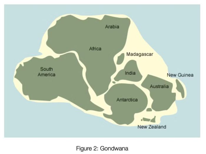 Siêu lục địa Gondwana là nơi nhiều loài khủng long sinh sống trong kỷ Phấn trắng.