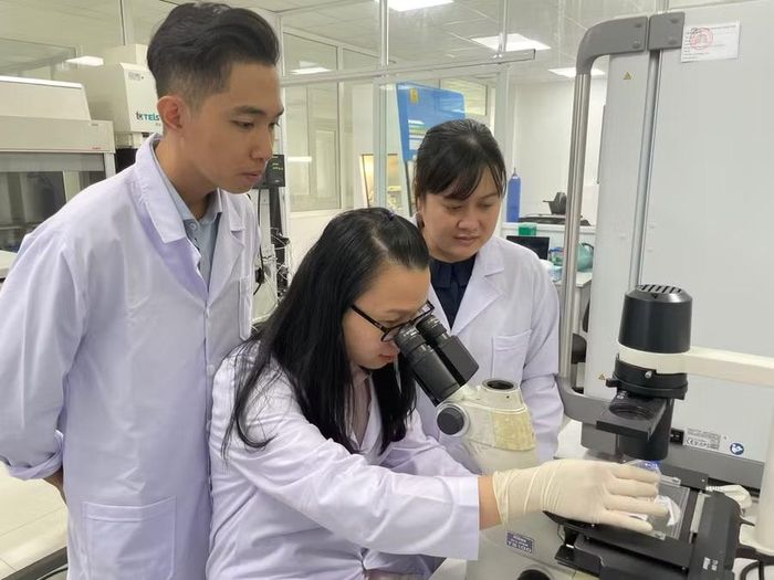 Nghiên cứu khoa học của sinh viên, giảng viên Trường Đại học Khoa học Tự nhiên (Đại học Quốc gia TPHCM). Ảnh: Hà An