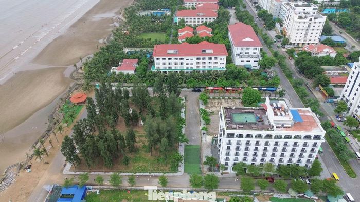 Quá trình thanh tra cho thấy, Sở Nông nghiệp và Môi trường tỉnh Thanh Hóa đã có nhiều vi phạm trong công tác tham mưu quản lý đất đai dẫn đến việc doanh nghiệp để xảy ra sai phạm. Trong đó, cơ quan này đã tham mưu thực hiện đồng thời việc thu hồi và giao đất trong cùng một quyết định; chưa điều chỉnh hợp đồng thuê đất khi thay đổi hình thức sử dụng đất; chưa ký hợp đồng thuê đất đối với một phần diện tích dự án; xác định thời điểm tính tiền thuê đất chưa đúng quy định; chưa bàn giao đất ngoài thực địa; chưa xác định lại giá đất sau khi điều chỉnh quy hoạch để tính tiền sử dụng đất và tiền thuê đất.