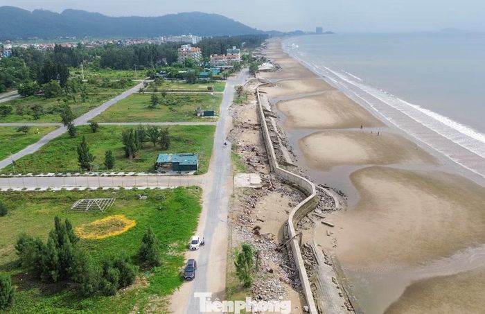 Diện tích trồng cây chắn cát, chắn gió, chắn sóng trong dự án chưa thực hiện đúng quy định.