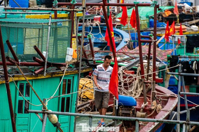 Theo tỉnh Quảng Ninh, đến hết ngày 3/7, đã có 6.945 phương tiện tàu thuyền, với 13.890 thuyền viên và 1.919 ô lồng bè, với 3.838 người làm việc trên vùng biển đã nhận được thông tin đường đi, hướng di chuyển của bão. Hiện, các phương tiện tàu thuyền đánh bắt thủy sản trên biển đang nhanh chóng di chuyển về khu vực an toàn.