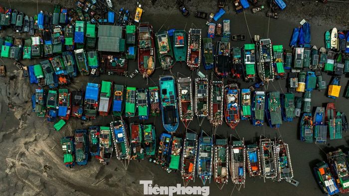 Theo tỉnh Quảng Ninh, cảng này là một trong 35 vị trí tỉnh lựa chọn để công bố là điểm tránh trú bão.