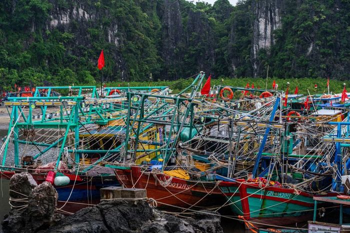 Cùng với công tác kiểm đếm, kêu gọi tàu thuyền, chính quyền địa phương và lực lượng chức năng hỗ trợ người dân chằng giữ phương tiện, gia cố ô, lồng bè, chủ động phương án ứng phó.