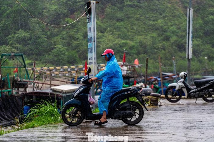Dù trời đang mưa rất to nhưng nhiều ngư dân vẫn đội mưa ra cảng cá để kiểm tra tàu thuyền của mình.