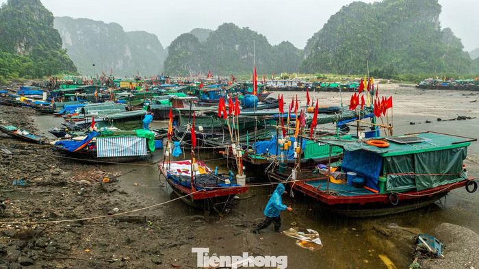Thủy triều xuống khiến khu vực cảng cạn trơ đáy. Để ra được tàu, ngư dân phải lội qua lớp bùn lầy.