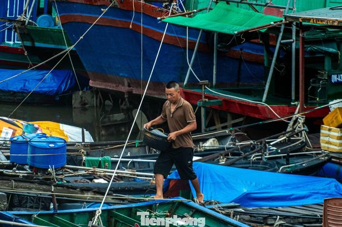 Theo đại diện bến Cái Xà Coong, có khoảng 80 tàu về đây từ ngày hôm qua để tránh trú bão số 1.