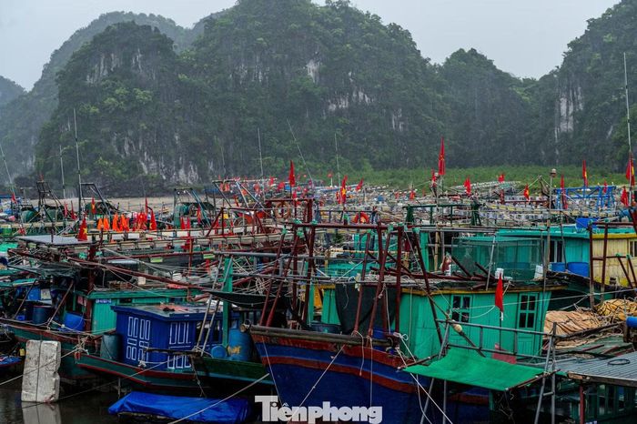 Hiện tại, các địa phương đang duy trì trạng thái sẵn sàng cao nhất, theo dõi sát diễn biến của bão, sẵn sàng huy động lực lượng, phương tiện xử lý các tình huống phát sinh, quyết tâm bảo đảm an toàn tính mạng, tài sản của Nhân dân và du khách, hạn chế thấp nhất thiệt hại do thiên tai gây ra.