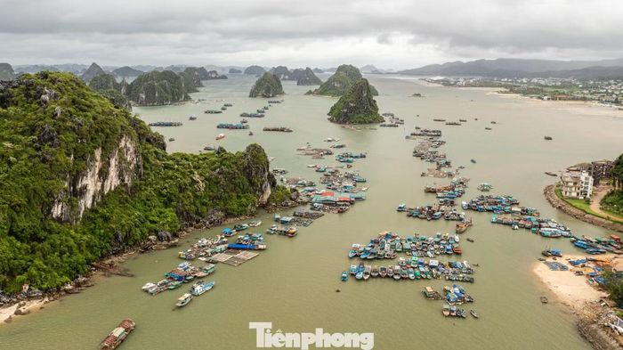 Theo đại diện Đặc khu Vân Đồn, đơn vị đã khẩn trương triển khai đồng bộ các giải pháp phòng, chống bão với phương châm "3 trước, 4 tại chỗ", "từ xa, từ sớm, từ cơ sở", quyết tâm không để xảy ra thiệt hại về người và giảm thiểu thấp nhất thiệt hại về tài sản.