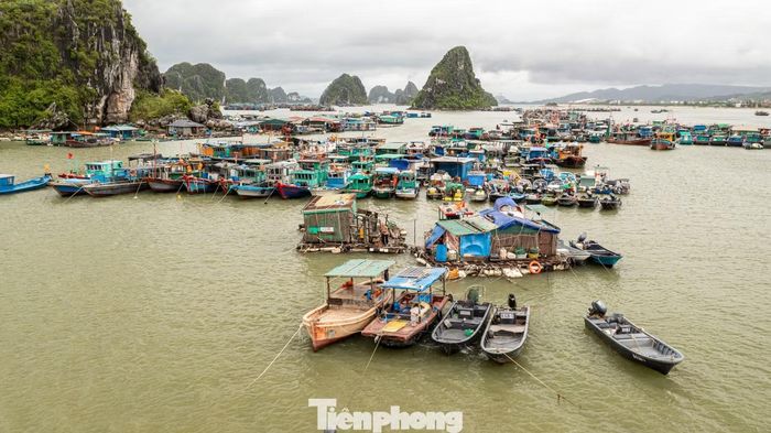 Toàn bộ 1.348 tàu cá trên địa bàn đã vào nơi tránh trú an toàn. Trong đó, khu neo đậu Cái Rồng tiếp nhận 363 phương tiện, Quan Lạn 150 phương tiện, Minh Châu 133 phương tiện, Ngọc Vừng 68 phương tiện; Bản Sen 73 phương tiện, Đông Xá 434 phương tiện. Toàn bộ 3.121 lao động trên các tàu thuyền đã lên bờ an toàn.