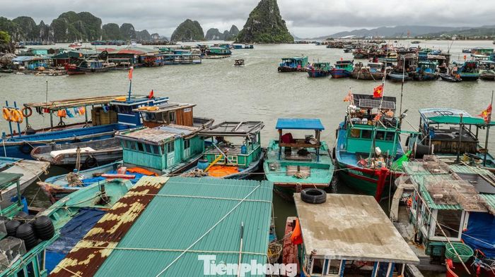 "Chúng tôi tập trung cao nhất cho mục tiêu bảo đảm an toàn tính mạng của người dân và du khách; đồng thời huy động tối đa lực lượng, phương tiện, thực hiện nghiêm phương châm '4 tại chỗ' để sẵn sàng xử lý mọi tình huống có thể xảy ra trước, trong và sau bão", ông Vũ chia sẻ.