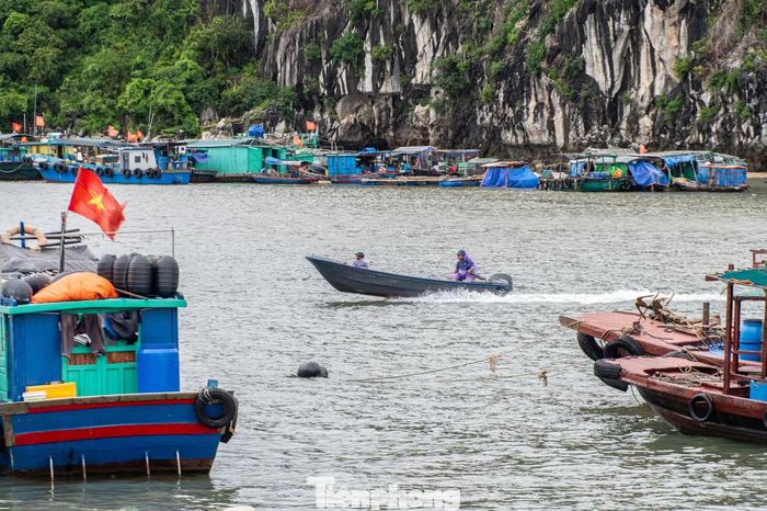 Hiện Ban Chỉ huy Phòng thủ dân sự đặc khu Vân Đồn cùng các lực lượng chức năng tiếp tục duy trì chế độ trực 24/24 giờ, theo dõi chặt chẽ diễn biến của bão số 1 để kịp thời triển khai các biện pháp ứng phó, khắc phục hậu quả, bảo đảm an toàn cho người dân và duy trì ổn định các hoạt động trên địa bàn.
