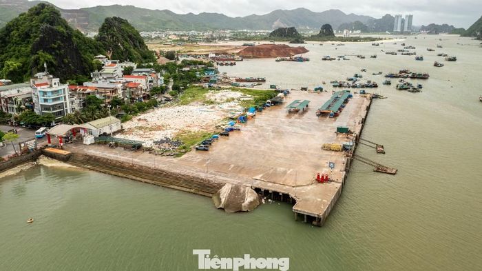 Trên khu vực cảng Cái Rồng, toàn bộ tàu thuyền đã di dời khỏi cảng. Theo đại diện đơn vị quản lý Cảng, sau khi tỉnh Quảng Ninh có công văn cấm biển, cảng đã ngừng cấp lệnh cho các đội tàu xuất bến, yêu cầu các chủ tàu chủ động đưa phương tiện đi tránh trú bão an toàn.