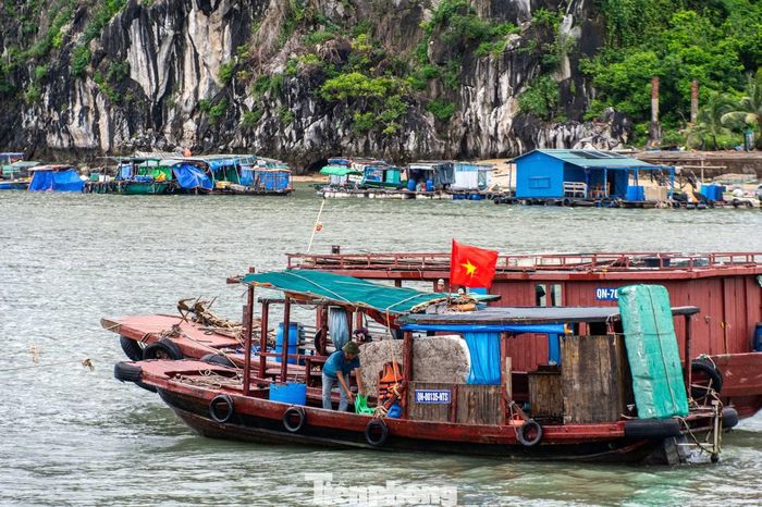 Cùng với đó, các ngư dân tranh thủ bão chưa về đang tích cực gia cố, neo buộc lại tàu thuyền an toàn.