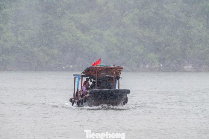 Những chiếc thuyền từ khu vực khác tất bật chạy về khu neo đậu tránh bão.