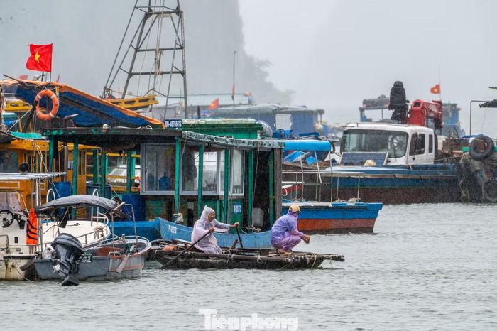 "Chiếc thuyền là cả tài sản lớn của tôi nên tranh thủ lúc trời lặng gió, gọi đò chạy ra kiểm tra lại dây cũng như hệ thống bơm nước trước khi trời tối", anh Quân, quê Thanh Hóa chia sẻ.