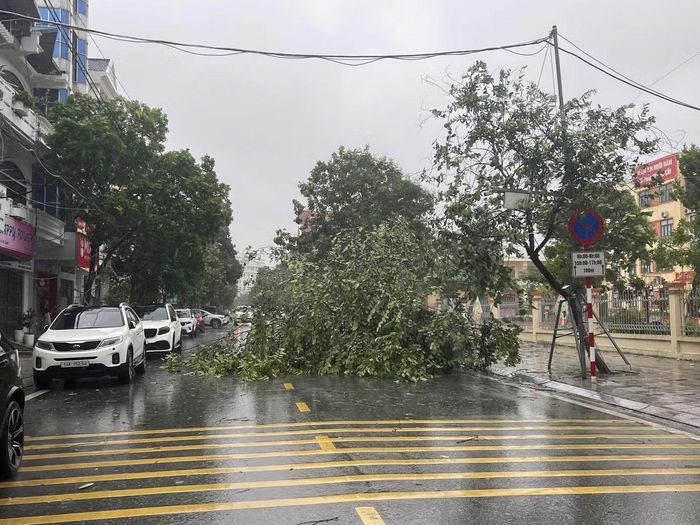 Mưa lớn kèm gió giật khiến cây đổ, nhiều tuyến đường bị ách tắc cục bộ.