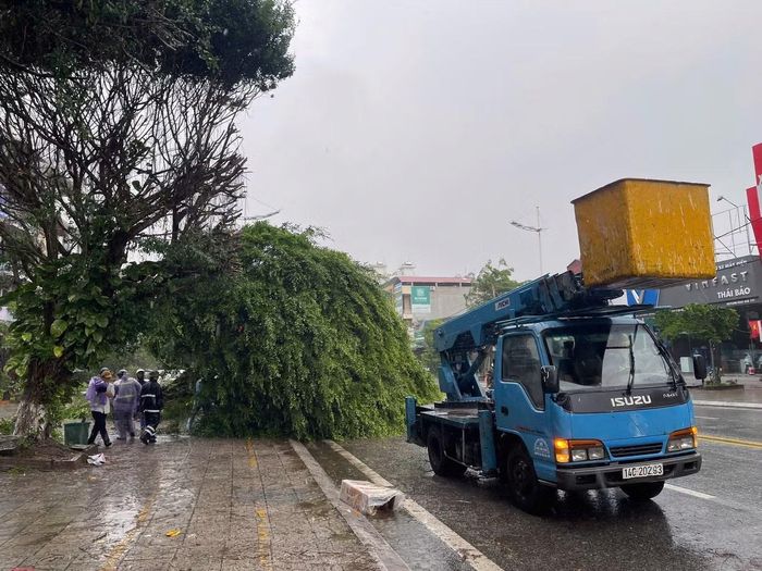 Ngay sau khi xảy ra sự cố, lực lượng chức năng địa phương đã phối hợp với các đơn vị liên quan khẩn trương cắt tỉa, cưa dọn cây xanh gãy đổ, giải tỏa hiện trường nhằm bảo đảm an toàn cho người dân, phương tiện lưu thông và duy trì giao thông thông suốt.