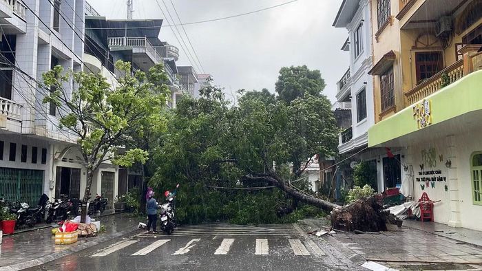Từ 17h chiều nay, mưa lớn, gió mạnh và biển động do bão số 1 đã ảnh hưởng đến đời sống, sinh hoạt và hoạt động sản xuất của người dân khu vực Móng Cái, tỉnh Quảng Ninh.