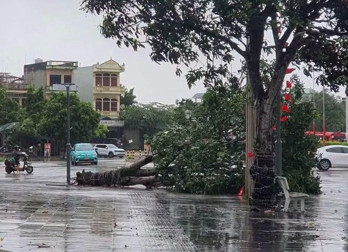 Hiện địa phương vẫn chưa ghi nhận thiệt hại về người, mọi công tác vẫn tập trung ứng phó bão đổ bộ.