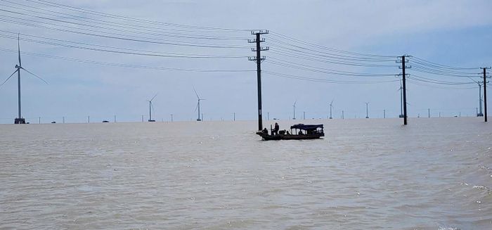 Doanh nghiệp cho rằng hệ thống truyền tải hiện còn hạn chế khả năng hấp thụ điện gió ngoài khơi nên kiến nghị Vĩnh Long sớm đẩy nhanh tiến độ các “đại lộ” truyền tải 220kV, 500kV. (Ảnh: HD)