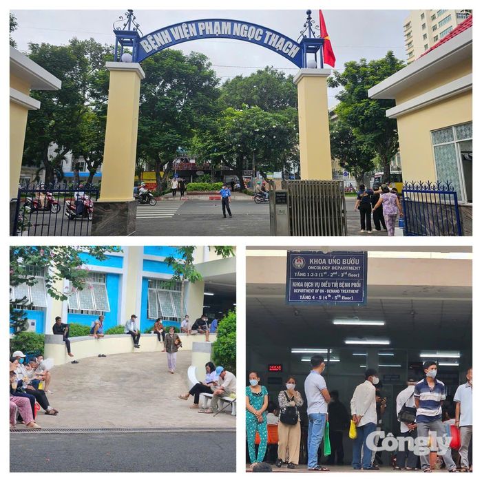 TS.BS Nguyễn Hữu Lân, Giám đốc Bệnh viện Phạm Ngọc Thạch xúc động chia sẻ: “Mỗi ngày, tôi đều nhận được những phản hồi tích cực từ người bệnh, đặc biệt là các bệnh nhân mắc bệnh mạn tính. Chỉ trong 3 tuần chỉnh trang, sự thay đổi của cảnh quan đã mang đến những tác động rất rõ rệt. Nhiều bệnh nhân cho biết họ cảm thấy dễ chịu hơn khi đến bệnh viện, không gian xanh giúp việc hít thở trở nên thoải mái hơn. Đối với những người mắc các bệnh về hô hấp cảm giác căng thẳng, áp lực cũng được giảm bớt đáng kể. Không chỉ người bệnh mà đội ngũ nhân viên y tế cũng rất vui mừng trước sự thay đổi tích cực của môi trường xung quanh. Một cảnh quan xanh mát, gần gũi với thiên nhiên góp phần tạo nên tâm trạng thoải mái hơn, từ đó giúp các y bác sĩ có thêm năng lượng để lắng nghe, thấu hiểu và đồng hành cùng người bệnh trong quá trình điều trị".