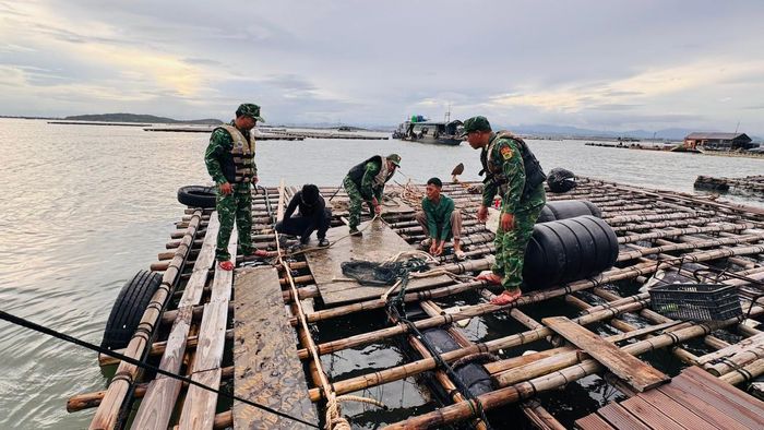 Cán bộ, chiến sĩ Đồn Biên phòng Trà Cổ hỗ trợ người dân gia cố phương tiện, lồng bè và triển khai các biện pháp phòng, chống bão.