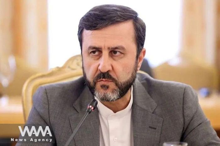 Thứ trưởng Ngoại giao Iran Kazem Gharibabadi. Ảnh: WANA
