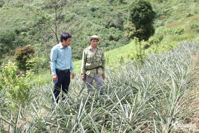 Lãnh đạo UBND xã Tu Mơ Rông đi thực tế các mô hình sản xuất để lắng nghe những khó khăn, vướng mắc của người dân trong quá trình sản xuất. Ảnh: Ngọc Chí