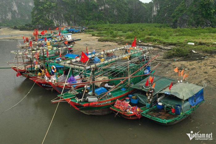 Các tàu thuyền neo đậu thành hàng để tránh va đập. Ảnh: Phạm Công