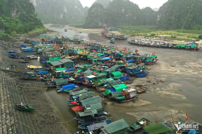 Mặc dù trời mưa nhưng thủy triều đang xuống khiến khu vực neo đậu Cái Xà Coong cạn nước. Ảnh: Phạm Công