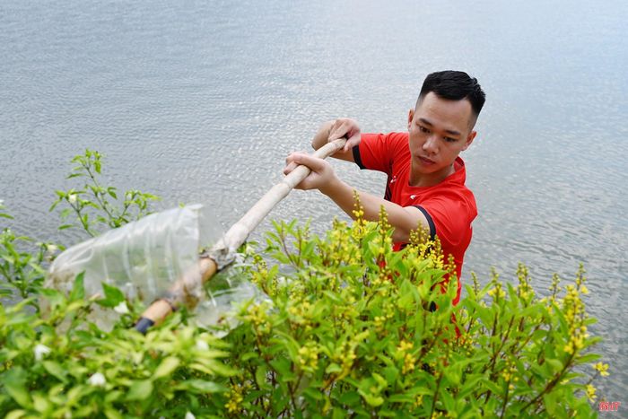 Dù đã có hệ thống tưới tự động, tuy nhiên thời tiết khắc nghiệt trong mùa hè đã ảnh hưởng đến cây xanh trồng ven hồ. Vì vậy, nhiều hộ dân đã tự nguyện tưới nước, chăm sóc cho hoa, cây cảnh bên bờ hồ.