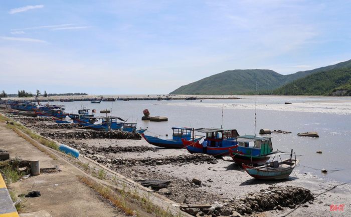 Sau những chuyến biển bấp bênh nhiều ngư dân phải cho tàu thuyền nằm bờ.