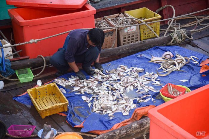 Công tác tuyên truyền khai thác biển có trách nhiệm đang được các lực lượng chức năng thực hiện thường xuyên.