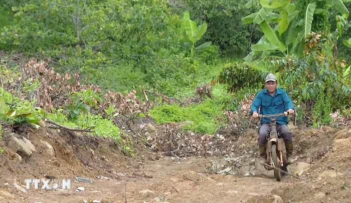 Gia đình ông Mão đã xung phong tự nguyện hiến 1,5ha đất để làm đường. (Ảnh: Đậu Tất Thành/TTXVN)