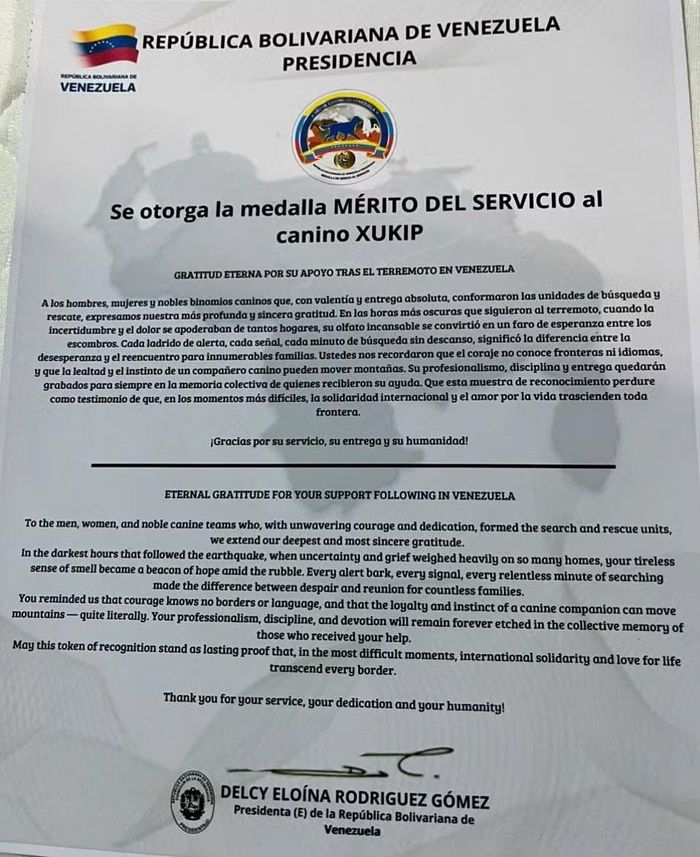 Thư khen thưởng của Tổng thống lâm thời Venezuela Delcy Rodríguez. (Ảnh: Hoàng Vũ/Vietnam+)