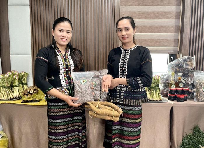 Dự án Cải thiện khả năng tiếp cận đào tạo nghề nhằm nâng cao chất lượng nguồn nhân lực và trao quyền kinh tế góp phần thúc đẩy bình đẳng giới cho phụ nữ, nữ học sinh người dân tộc thiểu số Bru - Vân Kiều xã Kim Ngân, tỉnh Quảng Trị.