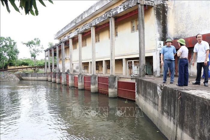 Lãnh đạo Sở Nông nghiệp và Môi trường Hải Phòng kiểm tra việc sẵn sàng tiêu úng tại Trạm bơm Đò Neo, xã Đại Sơn. Ảnh: Mạnh Tú/TTXVN