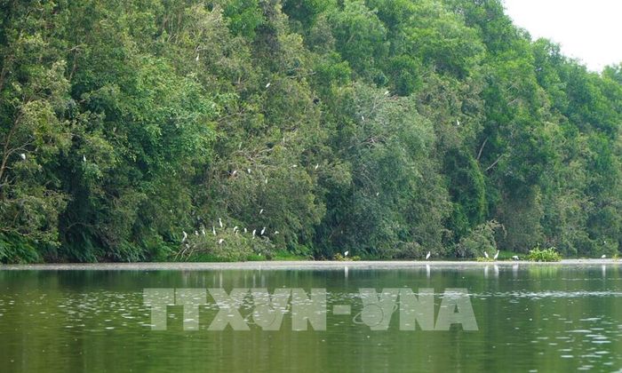 Đa dạng sinh học là tài sản vô giá, là nền tảng cho phát triển kinh tế - xã hội bền vững. Ảnh: Nhựt An - TTXVN