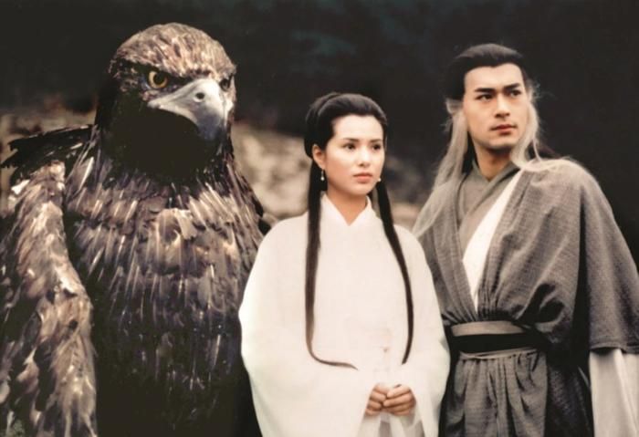 Thần Điêu đồng hành cùng Dương Quá trên hành trình trưởng thành, đồng thời được cho là từng gắn bó với Độc Cô Cầu Bại từ hơn một thế kỷ trước. Ảnh: Sohu.