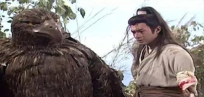 Theo nhiều giả thuyết, tuổi đời của Thần Điêu có thể vượt 150 năm, trở thành "nhân vật" trường thọ nhất trong thế giới kiếm hiệp Kim Dung. Ảnh: Sohu.